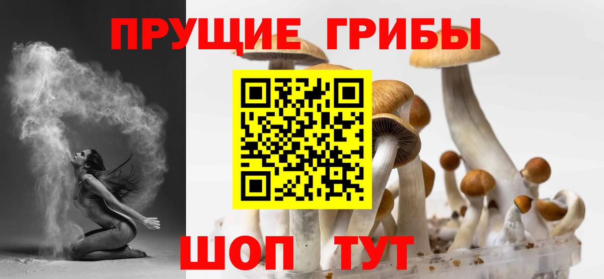 Псилоцибиновые грибы прущие грибы Энгельс